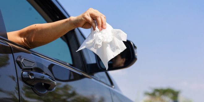 Les meilleures poubelles de voiture en 2023 - Autobala.fr