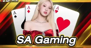 SA Gaming SA Gaming, un fournisseur de services de casino en ligne populaire, facile à jouer.
